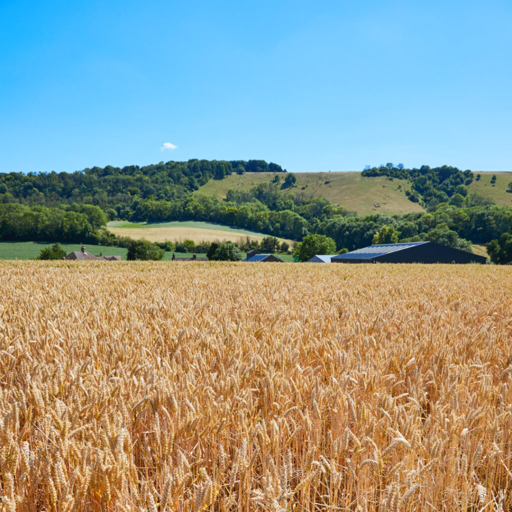 We Build Eco factory